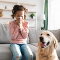 The Ultimate Guide For Removing Pet Dander From Your Home